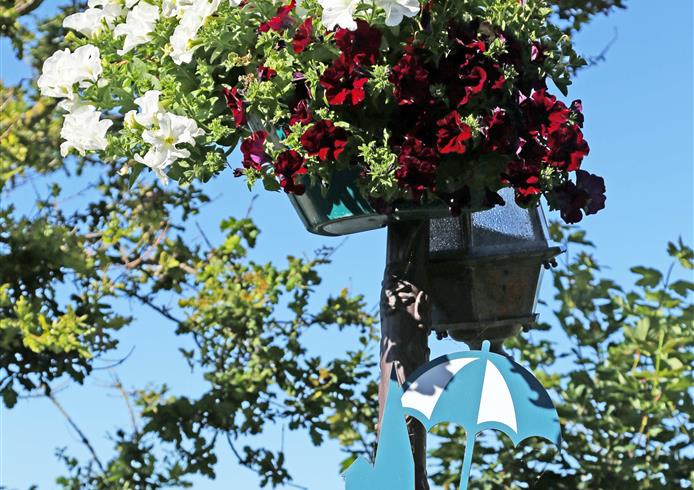 Villerville, flowers  - Bellevue Hotel
