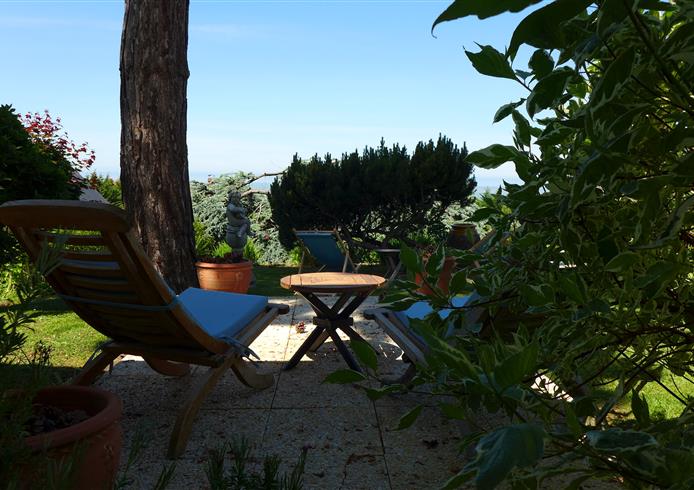garden - Bellevue Hotel