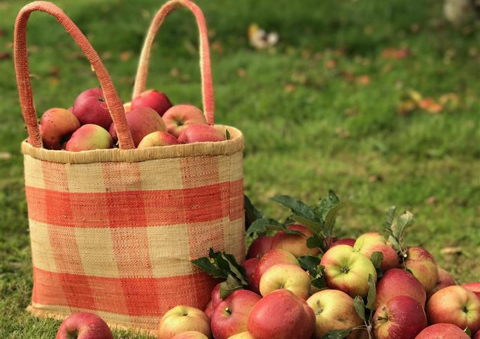Norman Apples - Bellevue Hotel